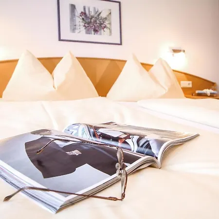 Holzmannhof 3* Flachau